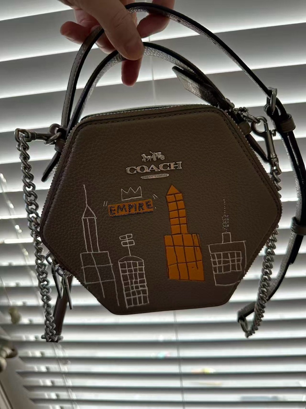 Coach X Basquiat Limited Edition Hexagonal Crossbody Bag